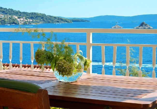 Appartamento a Seget Vranjica - Appartamento in Seget Vranjica con vista mare, balcone, Climatizzazione, WIFI (91-3) Appartamento a Seget Vranjica - Appartamento in Seget Vranjica con vista mare, balcone, Climatizzazione, WIFI (91-3)
