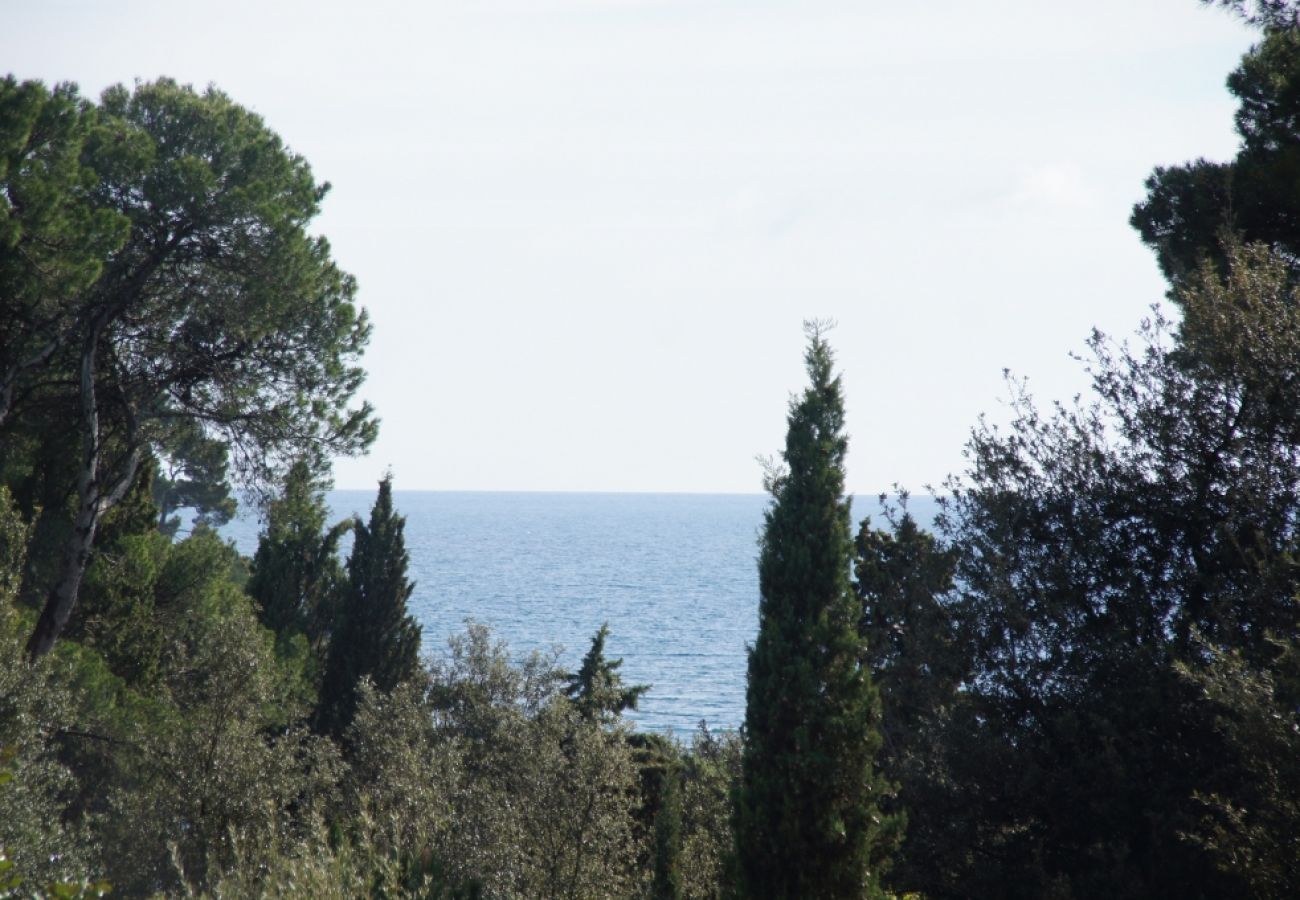 Affitto per camere a Rovinj - Camera in Rovigno (Rovinj) con vista mare, balcone, Climatizzazione, WIFI (96-3)