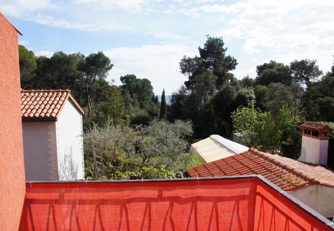 Affitto per camere a Rovinj - Camera in Rovigno (Rovinj) con vista mare, balcone, Climatizzazione, WIFI (96-4)