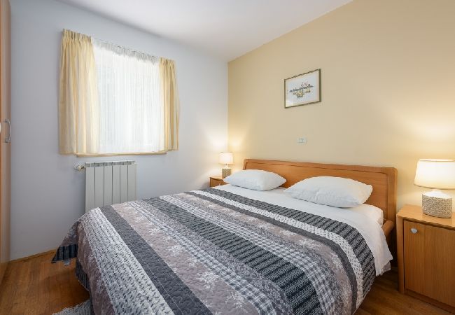 Appartamento a Bašanija - Appartamento in Bassania (Basanija) con terrazzo, Climatizzazione, WIFI (113-1) Appartamento a Bašanija - Appartamento in Bassania (Basanija) con terrazzo, Climatizzazione, WIFI (113-1)