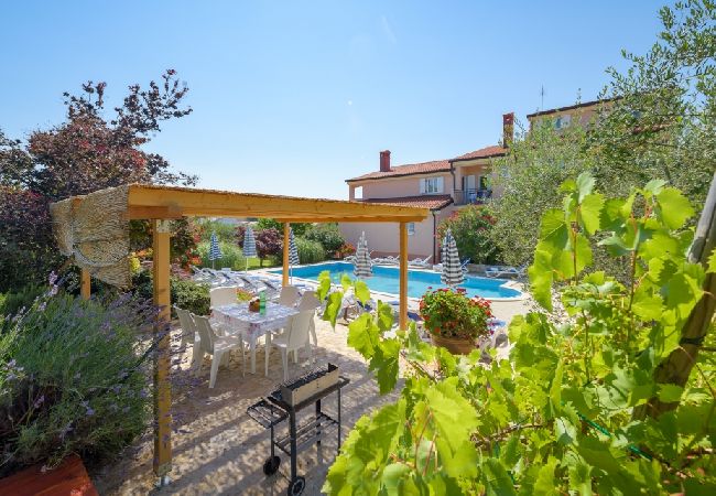 Appartamento a Bašanija - Appartamento in Bassania (Basanija) con terrazzo, Climatizzazione, WIFI (113-1) Appartamento a Bašanija - Appartamento in Bassania (Basanija) con terrazzo, Climatizzazione, WIFI (113-1)