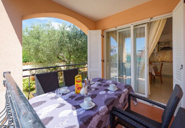 Appartamento a Bašanija - Appartamento in Bassania (Basanija) con terrazzo, Climatizzazione, WIFI (113-1) Appartamento a Bašanija - Appartamento in Bassania (Basanija) con terrazzo, Climatizzazione, WIFI (113-1)