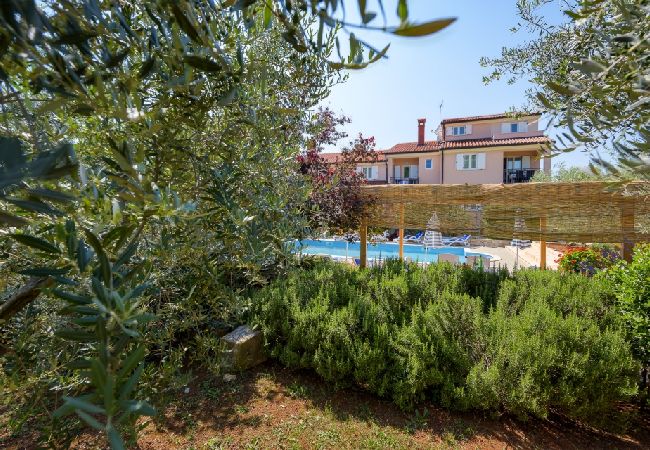 Appartamento a Bašanija - Appartamento in Bassania (Basanija) con terrazzo, Climatizzazione, WIFI (113-1) Appartamento a Bašanija - Appartamento in Bassania (Basanija) con terrazzo, Climatizzazione, WIFI (113-1)