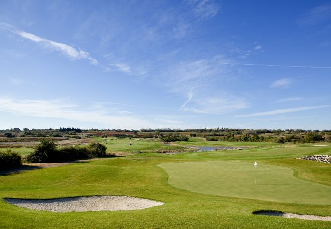 Appartamento a Bašanija - Appartamento in Bassania (Basanija) con terrazzo, Climatizzazione, WIFI (113-1) Appartamento a Bašanija - Appartamento in Bassania (Basanija) con terrazzo, Climatizzazione, WIFI (113-1)