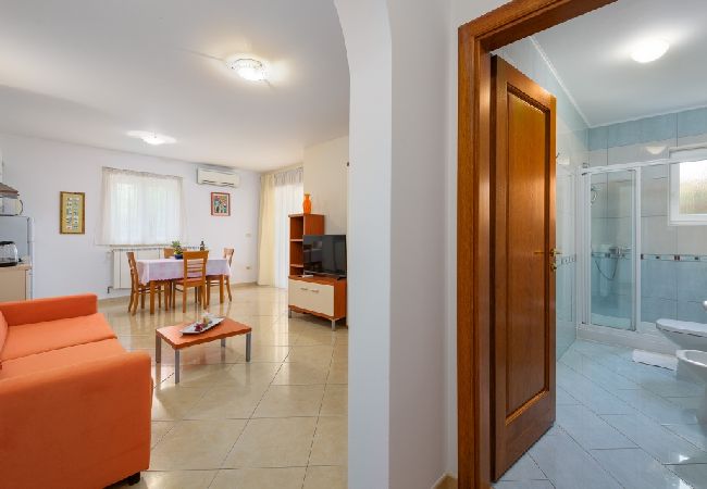 Appartamento a Bašanija - Appartamento in Bassania (Basanija) con terrazzo, Climatizzazione, WIFI (113-2) Appartamento a Bašanija - Appartamento in Bassania (Basanija) con terrazzo, Climatizzazione, WIFI (113-2)