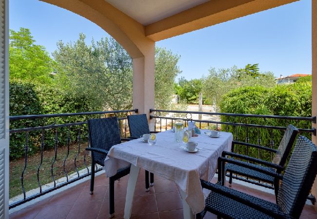 Appartamento a Bašanija - Appartamento in Bassania (Basanija) con terrazzo, Climatizzazione, WIFI (113-2) Appartamento a Bašanija - Appartamento in Bassania (Basanija) con terrazzo, Climatizzazione, WIFI (113-2)