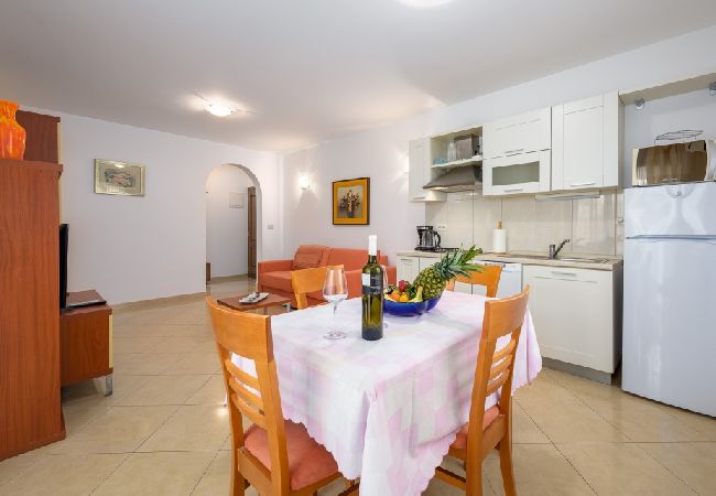 Appartamento a Bašanija - Appartamento in Bassania (Basanija) con terrazzo, Climatizzazione, WIFI (113-2) Appartamento a Bašanija - Appartamento in Bassania (Basanija) con terrazzo, Climatizzazione, WIFI (113-2)