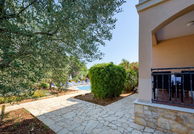 Appartamento a Bašanija - Appartamento in Bassania (Basanija) con terrazzo, Climatizzazione, WIFI (113-2) Appartamento a Bašanija - Appartamento in Bassania (Basanija) con terrazzo, Climatizzazione, WIFI (113-2)