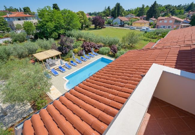Appartamento a Bašanija - Appartamento in Bassania (Basanija) con terrazzo, Climatizzazione, WIFI, Lavastoviglie (113-4) Appartamento a Bašanija - Appartamento in Bassania (Basanija) con terrazzo, Climatizzazione, WIFI, Lavastoviglie (113-4)