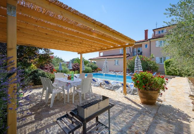 Appartamento a Bašanija - Appartamento in Bassania (Basanija) con terrazzo, Climatizzazione, WIFI, Lavastoviglie (113-4) Appartamento a Bašanija - Appartamento in Bassania (Basanija) con terrazzo, Climatizzazione, WIFI, Lavastoviglie (113-4)