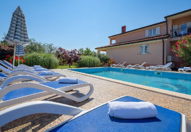 Appartamento a Bašanija - Appartamento in Bassania (Basanija) con terrazzo, Climatizzazione, WIFI, Lavastoviglie (113-4) Appartamento a Bašanija - Appartamento in Bassania (Basanija) con terrazzo, Climatizzazione, WIFI, Lavastoviglie (113-4)