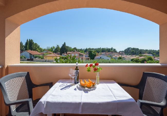 Appartamento a Bašanija - Appartamento in Bassania (Basanija) con balcone, Climatizzazione, WIFI(113-5) Appartamento a Bašanija - Appartamento in Bassania (Basanija) con balcone, Climatizzazione, WIFI(113-5)