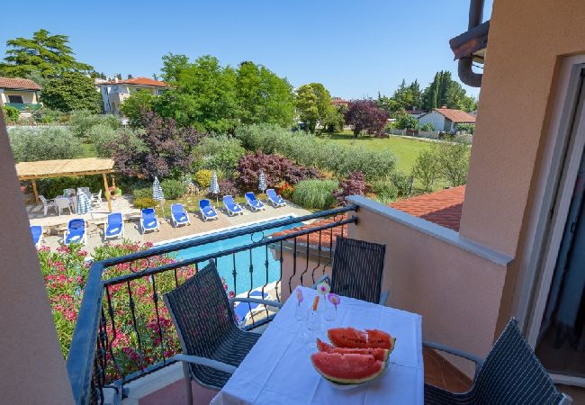 Appartamento a Bašanija - Appartamento in Bassania (Basanija) con balcone, Climatizzazione, WIFI(113-5) Appartamento a Bašanija - Appartamento in Bassania (Basanija) con balcone, Climatizzazione, WIFI(113-5)