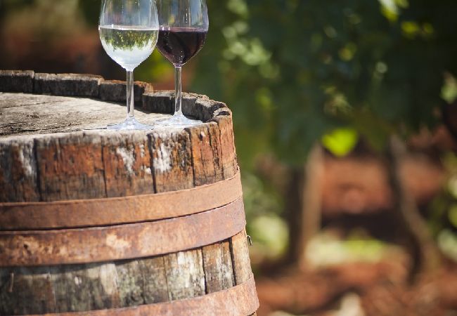 Appartamento a Bašanija - Appartamento in Bassania (Basanija) con vista mare, terrazzo, Climatizzazione, WIFI (113-6) Appartamento a Bašanija - Appartamento in Bassania (Basanija) con vista mare, terrazzo, Climatizzazione, WIFI (113-6)