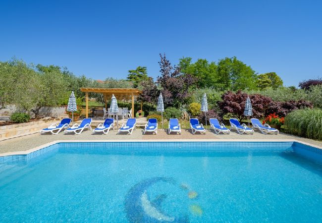 Appartamento a Bašanija - Appartamento in Bassania (Basanija) con vista mare, terrazzo, Climatizzazione, WIFI (113-6) Appartamento a Bašanija - Appartamento in Bassania (Basanija) con vista mare, terrazzo, Climatizzazione, WIFI (113-6)