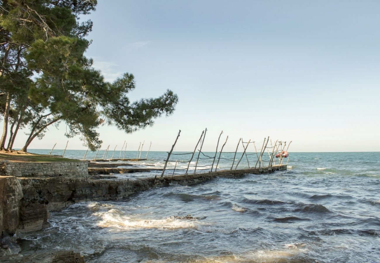 Appartamento a Bašanija - Appartamento in Bassania (Basanija) con vista mare, terrazzo, Climatizzazione, WIFI (113-6)