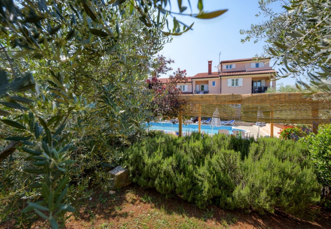 Appartamento a Bašanija - Appartamento in Bassania (Basanija) con vista mare, terrazzo, Climatizzazione, WIFI (113-6)