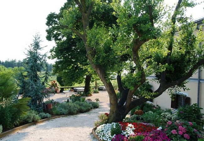 Appartamento a Savudrija - Appartamento in Salvore (Savudrija) con vista mare, terrazzo, Climatizzazione, WIFI (123-7) Appartamento a Savudrija - Appartamento in Salvore (Savudrija) con vista mare, terrazzo, Climatizzazione, WIFI (123-7)