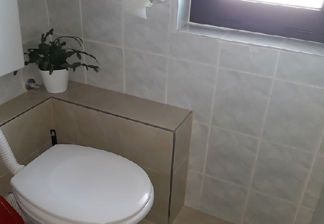 Appartamento a Murter - Appartamento in Morter (Murter) con terrazzo, Climatizzazione, WIFI, Lavatrice (125-1) Appartamento a Murter - Appartamento in Morter (Murter) con terrazzo, Climatizzazione, WIFI, Lavatrice (125-1)