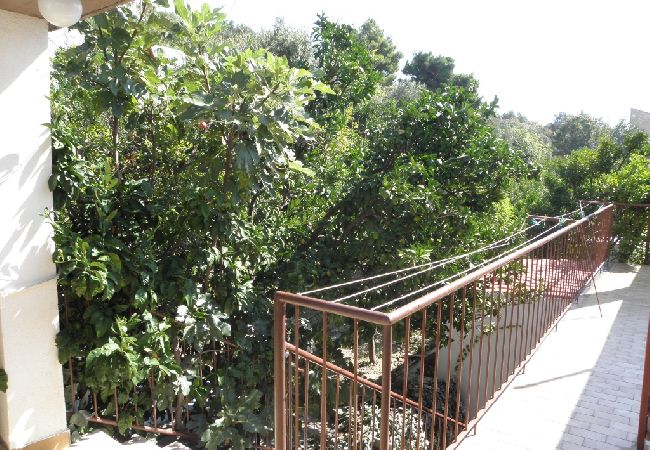 Appartamento a Podgora - Appartamento in Podgora con vista mare, terrazzo, Climatizzazione, WIFI (134-3) Appartamento a Podgora - Appartamento in Podgora con vista mare, terrazzo, Climatizzazione, WIFI (134-3)