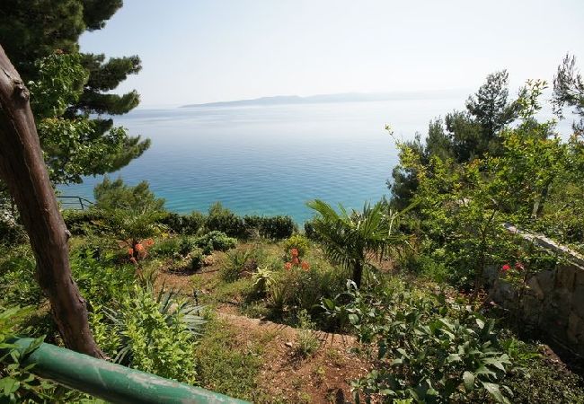 Appartamento a Brela - Appartamento in Brella (Brela) con vista mare, terrazzo, Climatizzazione, WIFI (75-7) Appartamento a Brela - Appartamento in Brella (Brela) con vista mare, terrazzo, Climatizzazione, WIFI (75-7)