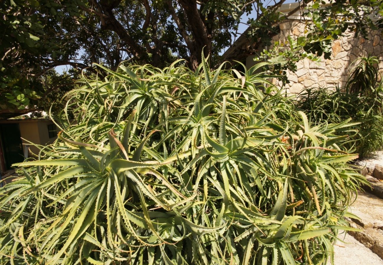 Casa a Vis - Casa di vacanza in Lissa (Vis) con terrazzo, Climatizzazione, Lavastoviglie (139-1)