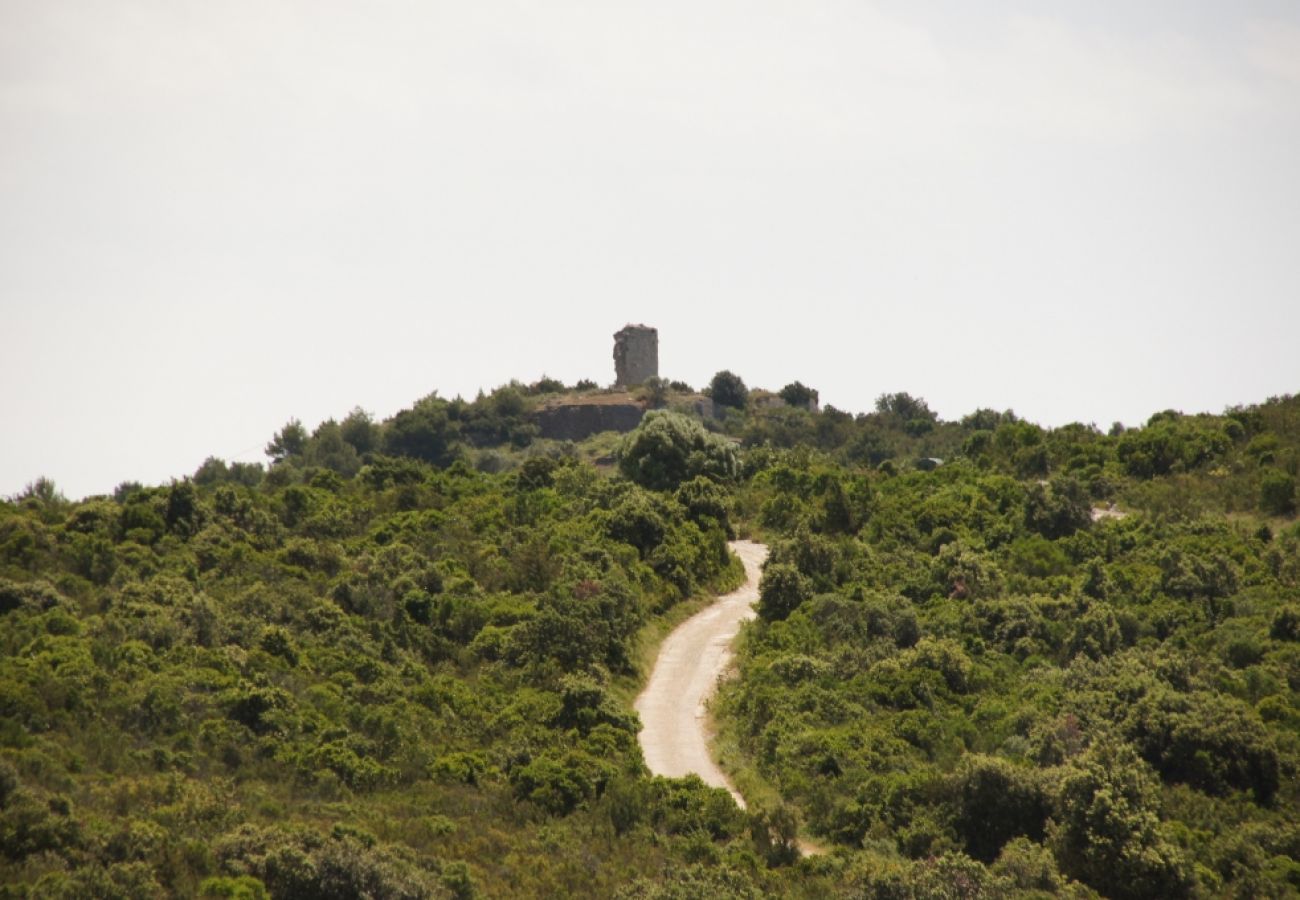 Casa a Vis - Casa di vacanza in Lissa (Vis) con terrazzo, Climatizzazione, Lavastoviglie (139-1)