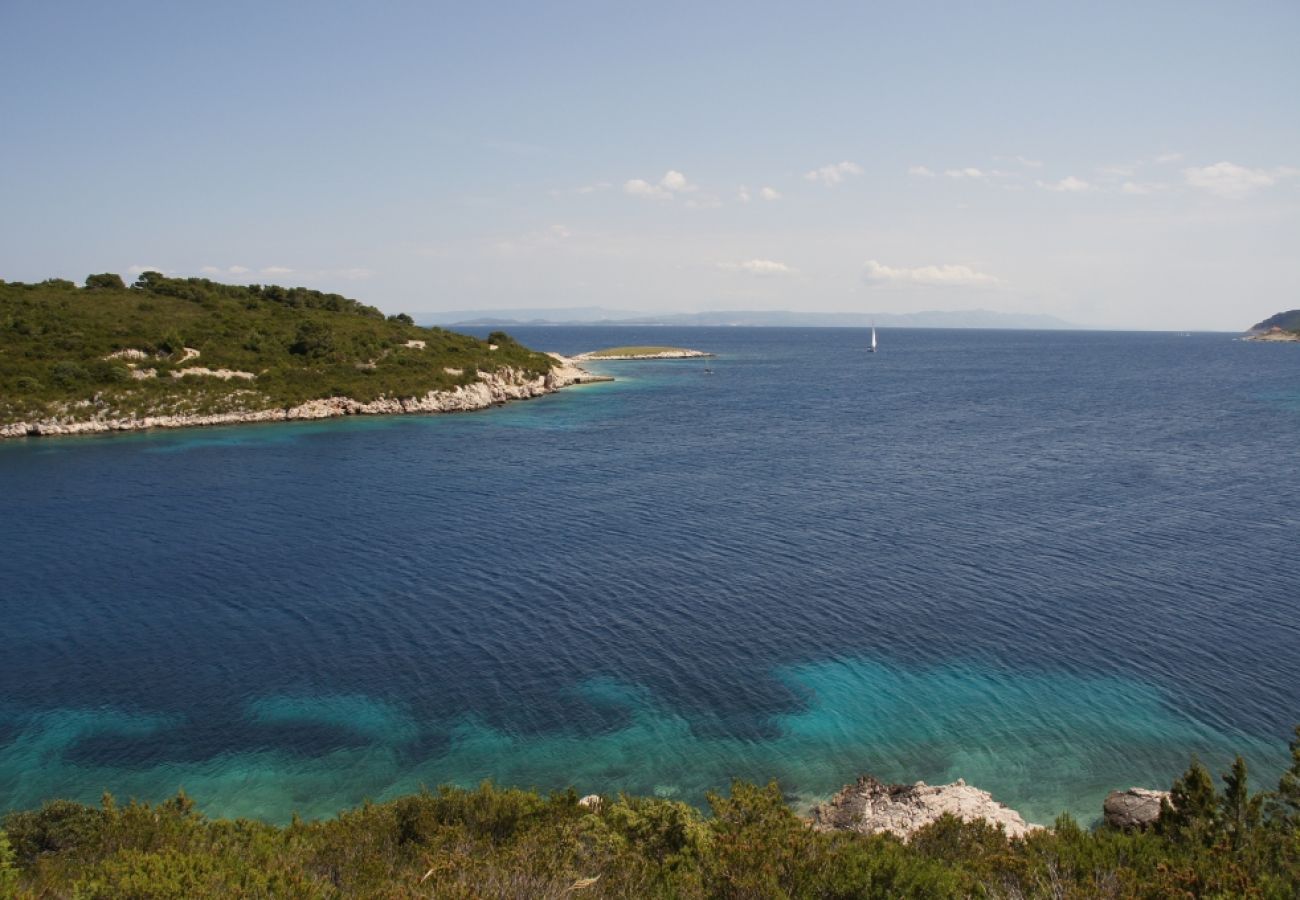 Casa a Vis - Casa di vacanza in Lissa (Vis) con terrazzo, Climatizzazione, Lavastoviglie (139-1)