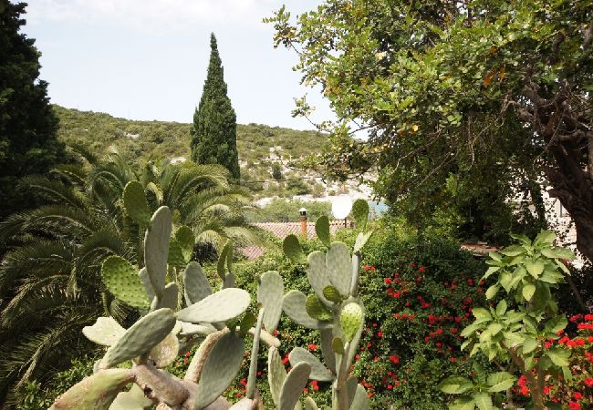 Casa a Vis - Casa di vacanza in Lissa (Vis) con terrazzo, Climatizzazione, Lavastoviglie (139-2) Casa a Vis - Casa di vacanza in Lissa (Vis) con terrazzo, Climatizzazione, Lavastoviglie (139-2)
