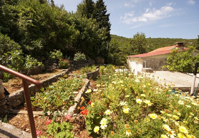 Casa a Vis - Casa di vacanza in Lissa (Vis) con terrazzo, Climatizzazione, Lavastoviglie (139-2) Casa a Vis - Casa di vacanza in Lissa (Vis) con terrazzo, Climatizzazione, Lavastoviglie (139-2)