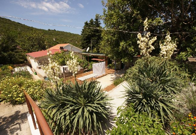 Casa a Vis - Casa di vacanza in Lissa (Vis) con terrazzo, Climatizzazione, Lavastoviglie (139-2) Casa a Vis - Casa di vacanza in Lissa (Vis) con terrazzo, Climatizzazione, Lavastoviglie (139-2)