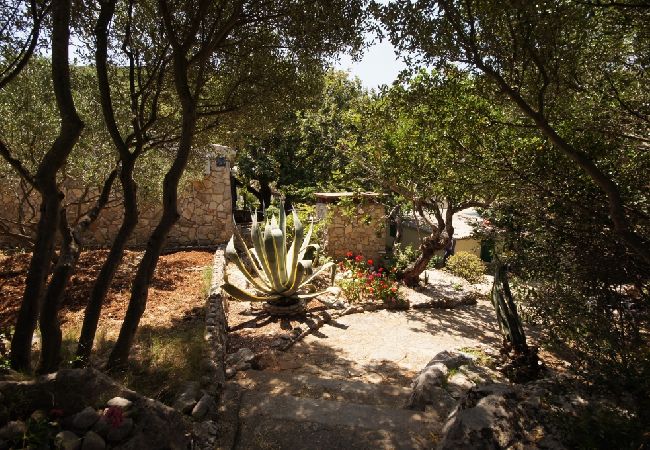 Casa a Vis - Casa di vacanza in Lissa (Vis) con terrazzo, Climatizzazione, Lavastoviglie (139-2) Casa a Vis - Casa di vacanza in Lissa (Vis) con terrazzo, Climatizzazione, Lavastoviglie (139-2)