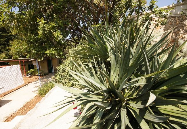 Casa a Vis - Casa di vacanza in Lissa (Vis) con terrazzo, Climatizzazione, Lavastoviglie (139-2) Casa a Vis - Casa di vacanza in Lissa (Vis) con terrazzo, Climatizzazione, Lavastoviglie (139-2)