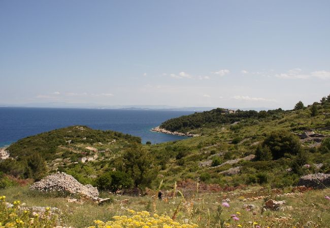 Casa a Vis - Casa di vacanza in Lissa (Vis) con terrazzo, Climatizzazione, Lavastoviglie (139-2) Casa a Vis - Casa di vacanza in Lissa (Vis) con terrazzo, Climatizzazione, Lavastoviglie (139-2)