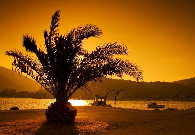 Casa a Vis - Casa di vacanza in Lissa (Vis) con terrazzo, Climatizzazione, Lavastoviglie (139-2) Casa a Vis - Casa di vacanza in Lissa (Vis) con terrazzo, Climatizzazione, Lavastoviglie (139-2)