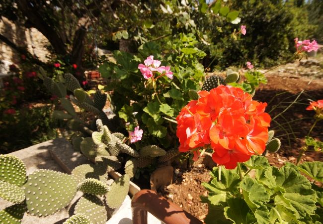 Casa a Vis - Casa di vacanza in Lissa (Vis) con terrazzo, Climatizzazione, Lavastoviglie (139-3) Casa a Vis - Casa di vacanza in Lissa (Vis) con terrazzo, Climatizzazione, Lavastoviglie (139-3)