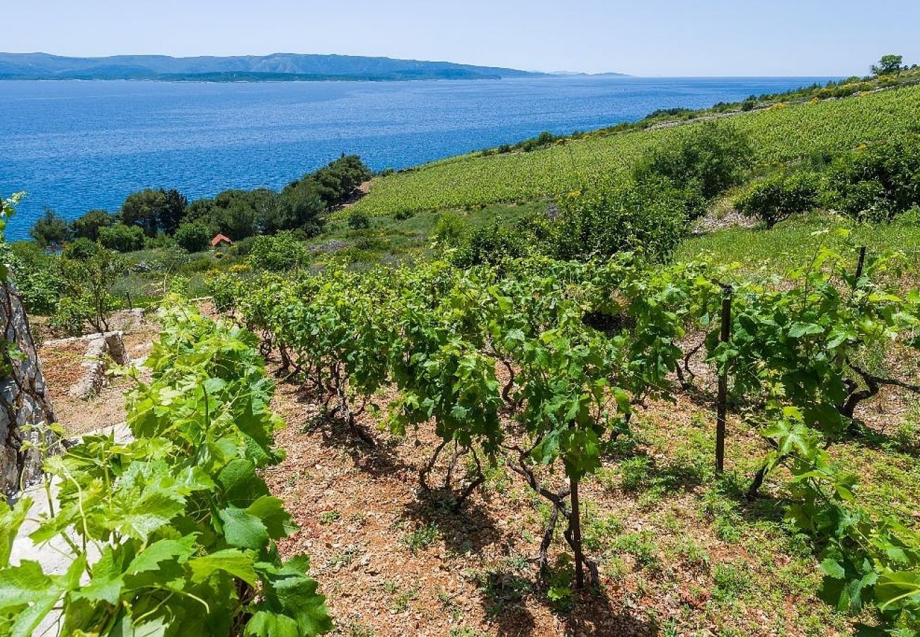 Casa a Murvica - Casa di vacanza in Murvica con vista mare, terrazzo, Climatizzazione, WIFI (146-1)