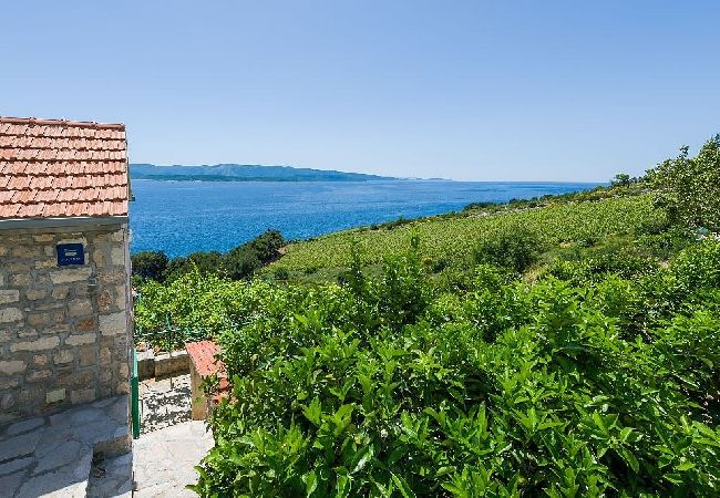 Appartamento a Murvica - Appartamento in Murvica con vista mare, terrazzo, Climatizzazione, WIFI (146-3) Appartamento a Murvica - Appartamento in Murvica con vista mare, terrazzo, Climatizzazione, WIFI (146-3)