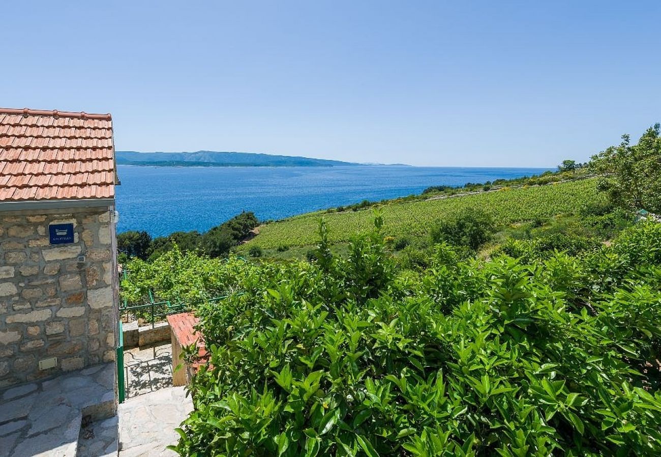 Appartamento a Murvica - Appartamento in Murvica con vista mare, terrazzo, Climatizzazione, WIFI (146-3)