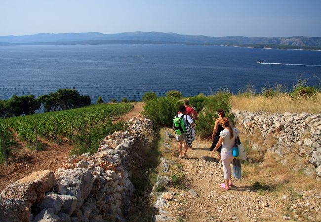 Casa a Murvica - Casa di vacanza in Murvica con vista mare, terrazzo, Climatizzazione, WIFI (146-6) Casa a Murvica - Casa di vacanza in Murvica con vista mare, terrazzo, Climatizzazione, WIFI (146-6)