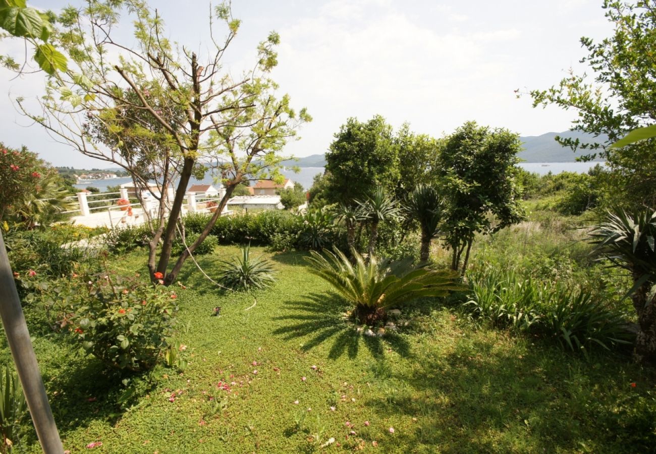 Casa a Viganj - Casa di vacanza in Viganj con vista mare, terrazzo, Climatizzazione, WIFI (160-1)