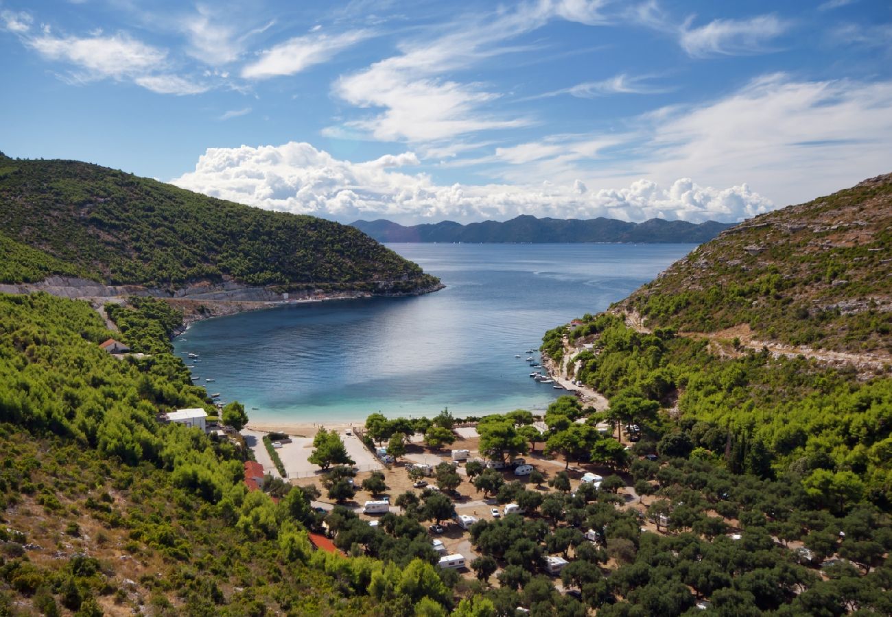 Casa a Viganj - Casa di vacanza in Viganj con vista mare, terrazzo, Climatizzazione, WIFI (160-1)