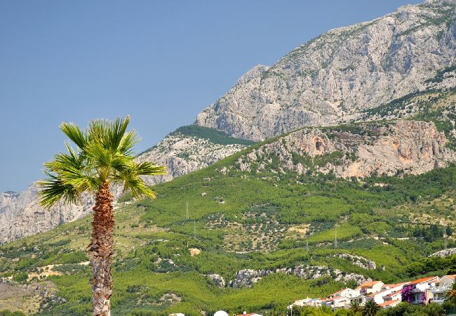 Appartamento a Tucepi - Appartamento in Tučepi con terrazzo, Climatizzazione, WIFI, Lavatrice (202-3) Appartamento a Tucepi - Appartamento in Tučepi con terrazzo, Climatizzazione, WIFI, Lavatrice (202-3)