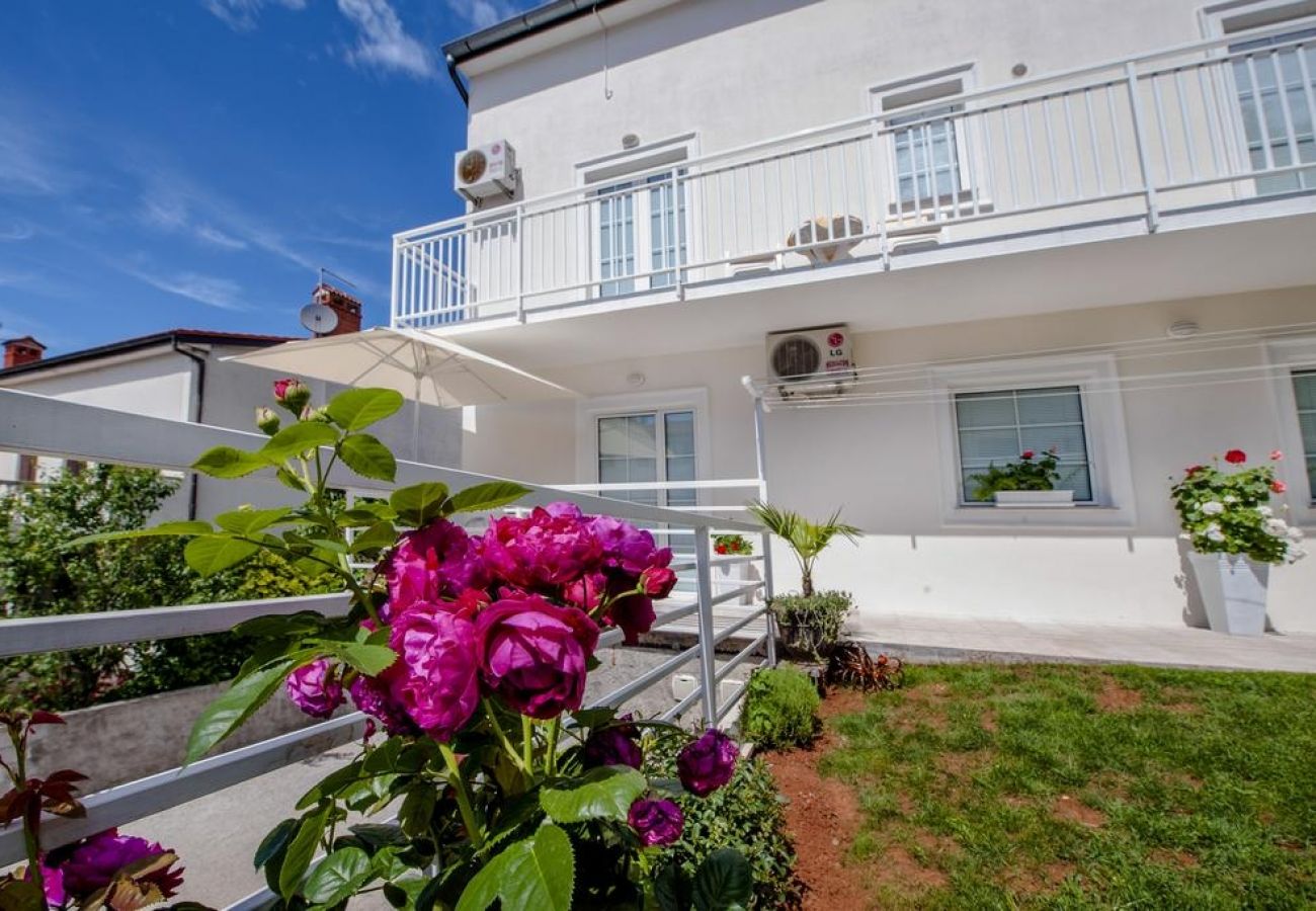 Appartamento a Rovinj - Appartamento in Rovigno (Rovinj) con balcone, Climatizzazione, WIFI (230-1)