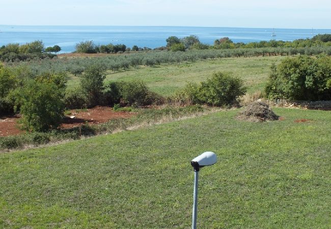 Appartamento a Umag - Appartamento in Umago (Umag) con vista mare, balcone, Climatizzazione, Lavastoviglie (235-2) Appartamento a Umag - Appartamento in Umago (Umag) con vista mare, balcone, Climatizzazione, Lavastoviglie (235-2)