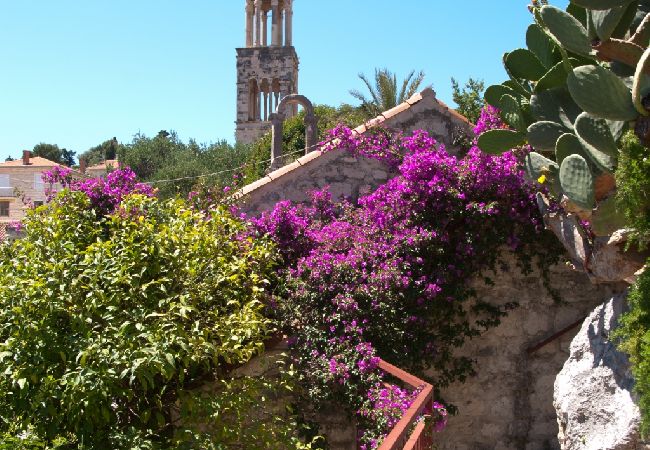 Appartamento a Hvar - Appartamento in Lesina (Hvar) con balcone, Climatizzazione, WIFI, Lavatrice (221-2) Appartamento a Hvar - Appartamento in Lesina (Hvar) con balcone, Climatizzazione, WIFI, Lavatrice (221-2)