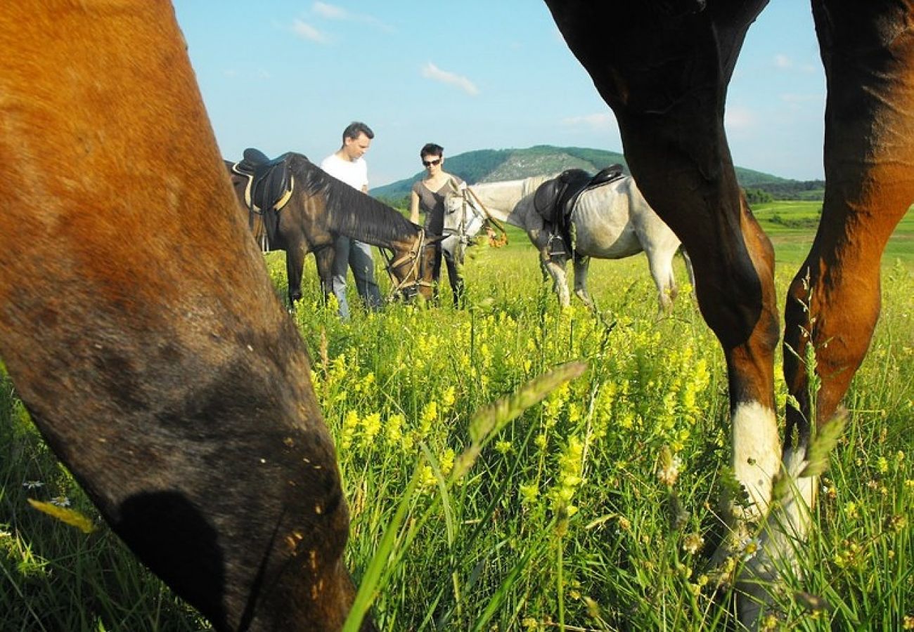 Appartamento a Rakovica - Appartamento in Rakovica con terrazzo, Climatizzazione, WIFI (601-1)