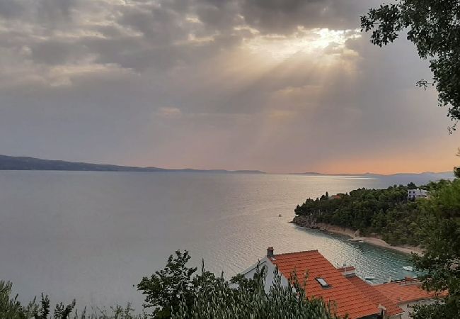 Appartamento a Stanici - Ferienwohnung in Stanići mit Meerblick, Balkon, Klimaanlage, W-LAN (634-3) Appartamento a Stanici - Ferienwohnung in Stanići mit Meerblick, Balkon, Klimaanlage, W-LAN (634-3)