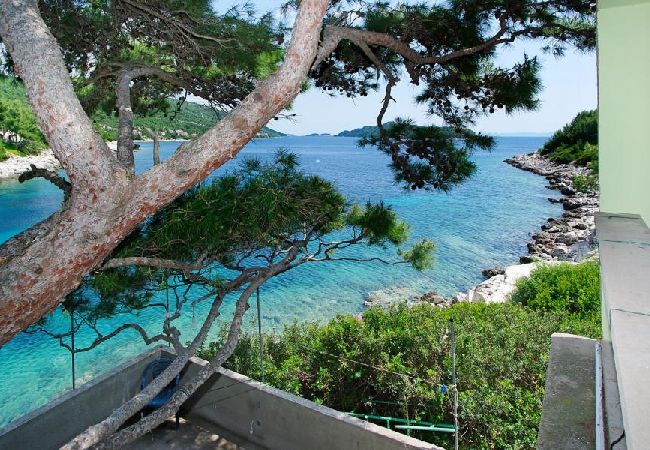 Appartamento a Karbuni - Appartamento in Karbuni con vista mare, balcone, Climatizzazione, WIFI (217-1) Appartamento a Karbuni - Appartamento in Karbuni con vista mare, balcone, Climatizzazione, WIFI (217-1)