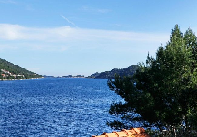Appartamento a Karbuni - Appartamento in Karbuni con vista mare, balcone, Climatizzazione (217-2) Appartamento a Karbuni - Appartamento in Karbuni con vista mare, balcone, Climatizzazione (217-2)